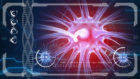 Móżdżkowi bodzowie Neuronu system Ludzka anatomia przelewanie pulsy i wywołująca informacja ilustracji Móżdżkowi bodzowie Neuronu system Ludzka anatomia przelewanie pulsy i wywołująca informacja ilustracji