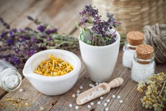 Mörser und Schüssel getrocknete heilende Kräuter und homöopathische Kügelchen stockbild Mörser und Schüssel getrocknete heilende Kräuter und homöopathische Kügelchen stockbild