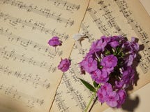 Música para a alma duas folhas com notas da contagem e um ramalhete de fotos de stock Música para a alma duas folhas com notas da contagem e um ramalhete de fotos de stock