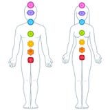 Męskiego i żeńskiego ciała chakras infographic royalty ilustracja Męskiego i żeńskiego ciała chakras infographic royalty ilustracja