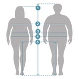 Mężczyzna i kobiety odziewamy plus wielkościowi pomiary Ciało ludzkie proporcje i pomiary ilustracji Mężczyzna i kobiety odziewamy plus wielkościowi pomiary Ciało ludzkie proporcje i pomiary ilustracji