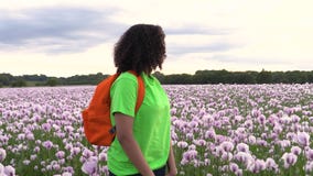 Młoda biracial kobieta wycieczkuje z pomarańczowym plecakiem na ścieżce przez pola różowi makowi kwiaty zbiory wideo Młoda biracial kobieta wycieczkuje z pomarańczowym plecakiem na ścieżce przez pola różowi makowi kwiaty zbiory wideo