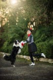Młoda dziewczyna i jej psi Border collie bawić się outdoors obrazy royalty free Młoda dziewczyna i jej psi Border collie bawić się outdoors obrazy royalty free