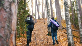 Młoda kędzierzawa kobieta i chłopiec na scandinavian spacerze w lesie Iść ciężki zbiory wideo Młoda kędzierzawa kobieta i chłopiec na scandinavian spacerze w lesie Iść ciężki zbiory wideo