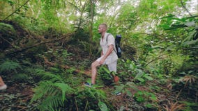 Młodej kobiety i mężczyzny odprowadzenie na ścieżce w tropikalnym dżungla lesie przy letnim dniem Szczęśliwa para trekking wpólni zdjęcie wideo Młodej kobiety i mężczyzny odprowadzenie na ścieżce w tropikalnym dżungla lesie przy letnim dniem Szczęśliwa para trekking wpólni zdjęcie wideo