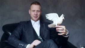 Młody atrakcyjny iluzjonista w czarnym kostiumu z białym gołębiem na jego ręce zdjęcie wideo Młody atrakcyjny iluzjonista w czarnym kostiumu z białym gołębiem na jego ręce zdjęcie wideo