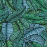 Naadloos hand getrokken patroon met tropische de textuur botanische vectorillustratie van banaanbladeren royalty-vrije illustratie Naadloos hand getrokken patroon met tropische de textuur botanische vectorillustratie van banaanbladeren royalty-vrije illustratie
