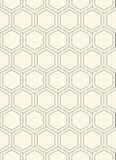 Naadloos hexagon patroon royalty-vrije illustratie Naadloos hexagon patroon royalty-vrije illustratie