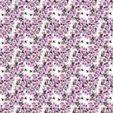 Naadloos patroon enkel Geregend bloeiende boom Collage van bloemen op waterverfachtergrond stock fotografie Naadloos patroon enkel Geregend bloeiende boom Collage van bloemen op waterverfachtergrond stock fotografie