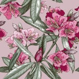 Naadloos patroon met Oleanderbloem stock illustratie Naadloos patroon met Oleanderbloem stock illustratie
