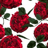 Naadloos patroon met rode rozen, illustratie Perfectioneer voor achtergrondgroetkaarten vector illustratie Naadloos patroon met rode rozen, illustratie Perfectioneer voor achtergrondgroetkaarten vector illustratie
