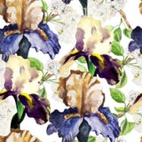 Naadloos patroon met waterverfbloemen Iris royalty-vrije illustratie Naadloos patroon met waterverfbloemen Iris royalty-vrije illustratie