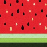 Naadloos watermeloenpatroon stock illustratie Naadloos watermeloenpatroon stock illustratie