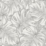 Naadloze achtergrond. de palm van bladerenmonstera stock illustratie Naadloze achtergrond. de palm van bladerenmonstera stock illustratie