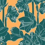 Naadloze patroon van Hippeastrum het lilly bloeiende bloemen vector illustratie Naadloze patroon van Hippeastrum het lilly bloeiende bloemen vector illustratie