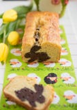 Naar huis gemaakte Pasen Bunny Cake stock afbeelding Naar huis gemaakte Pasen Bunny Cake stock afbeelding