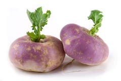 Nabo foto de stock