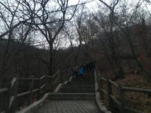 Nachtansicht über die Spitze von Nanshan-Berg, Südkorea lizenzfreie stockfotos Nachtansicht über die Spitze von Nanshan-Berg, Südkorea lizenzfreie stockfotos
