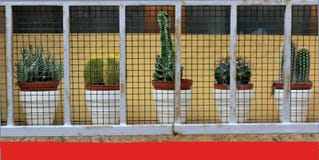 Nadokienna dekoracja z kwiatami fotografia stock Nadokienna dekoracja z kwiatami fotografia stock