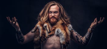 Naga tattoed rudzielec modnisia samiec z długim luxuriant włosy i pełną brodą pozuje z lis skórami wewnątrz na jego ramionach obrazy stock Naga tattoed rudzielec modnisia samiec z długim luxuriant włosy i pełną brodą pozuje z lis skórami wewnątrz na jego ramionach obrazy stock