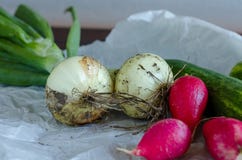 Nahaufnahme des k?rzlich geernteten Gem?ses lizenzfreie stockfotos Nahaufnahme des k?rzlich geernteten Gem?ses lizenzfreie stockfotos