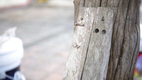 Nahaufnahme des Tischlers, der Ausrüstung verwendet, um die Möbel zu reparieren stock video footage Nahaufnahme des Tischlers, der Ausrüstung verwendet, um die Möbel zu reparieren stock video footage