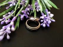 Nahaufnahme mit Eheringen mit sch?nen Rosen bl?hen Hintergrund lizenzfreie stockfotografie Nahaufnahme mit Eheringen mit sch?nen Rosen bl?hen Hintergrund lizenzfreie stockfotografie