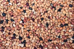 Nahaufnahme von verschiedenen Arten des Bohnenhintergrundes Bean-Beschaffenheit stockfoto Nahaufnahme von verschiedenen Arten des Bohnenhintergrundes Bean-Beschaffenheit stockfoto