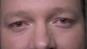 Nahaufnahmeaugenporträt des brunette Geschäftsmannes von mittlerem Alter, der angenehm in Kamera auf grauem Hintergrund aufpasst stock footage Nahaufnahmeaugenporträt des brunette Geschäftsmannes von mittlerem Alter, der angenehm in Kamera auf grauem Hintergrund aufpasst stock footage