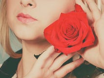 Nahaufnahmefrau, die Rotrose nahe Gesicht hält lizenzfreies stockfoto Nahaufnahmefrau, die Rotrose nahe Gesicht hält lizenzfreies stockfoto
