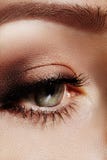 Nahaufnahmemakro des schönen weiblichen Auges mit perfekten Formaugenbrauen Säubern Sie Haut, Mode naturel Make-up Gute Vision stockfotos Nahaufnahmemakro des schönen weiblichen Auges mit perfekten Formaugenbrauen Säubern Sie Haut, Mode naturel Make-up Gute Vision stockfotos
