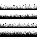 Nahtlose wilde Kräuter, Blumen und Grasschattenbildvektorsatz stock abbildung Nahtlose wilde Kräuter, Blumen und Grasschattenbildvektorsatz stock abbildung