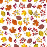 Nahtloses Muster, Druck, Beschaffenheit, Hintergrund mit Herbstlaub und Beeren des Vektors Autumn Colors Falldesign stock abbildung Nahtloses Muster, Druck, Beschaffenheit, Hintergrund mit Herbstlaub und Beeren des Vektors Autumn Colors Falldesign stock abbildung