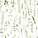 Nahtloses Muster mit Blumen und Gras lizenzfreie abbildung Nahtloses Muster mit Blumen und Gras lizenzfreie abbildung