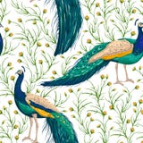 Nahtloses Muster mit Pfau, Blumen und Blättern stock abbildung Nahtloses Muster mit Pfau, Blumen und Blättern stock abbildung