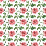 Nahtloses Muster von Aquarellrot-Rosenblumen stock abbildung Nahtloses Muster von Aquarellrot-Rosenblumen stock abbildung
