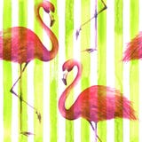 Nahtloses rosa Flamingomuster lizenzfreie abbildung Nahtloses rosa Flamingomuster lizenzfreie abbildung