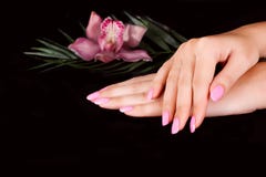 Nails With Flower Royalty Free Stock Image