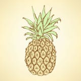 Nakreślenie smakowity ananas w rocznika stylu ilustracji Nakreślenie smakowity ananas w rocznika stylu ilustracji