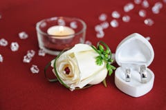 Nam de decoratieve veer van het huwelijk toe stock fotografie Nam de decoratieve veer van het huwelijk toe stock fotografie