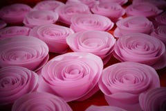 Nam document roze toe stock afbeeldingen Nam document roze toe stock afbeeldingen