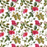 Nam naadloze zachte patroon van de bloemen het met de hand gemaakte waterverf toe royalty-vrije stock afbeeldingen Nam naadloze zachte patroon van de bloemen het met de hand gemaakte waterverf toe royalty-vrije stock afbeeldingen
