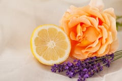 Nam toe, aromatherapy lavendel en citroen royalty-vrije stock afbeeldingen Nam toe, aromatherapy lavendel en citroen royalty-vrije stock afbeeldingen