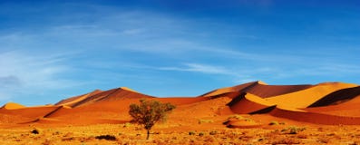 Namib Desert, Sossusvlei, Namibia Royalty Free Stock Image