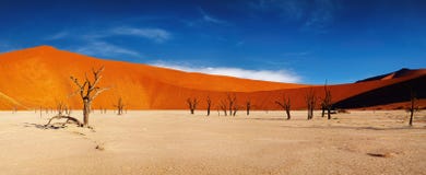 Namib Desert, Sossusvlei, Namibia Stock Image