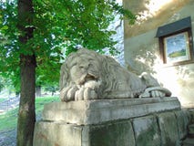 nanjing πέτρα αναγλύφου λιονταριών της Κίνας στοκ εικόνα nanjing πέτρα αναγλύφου λιονταριών της Κίνας στοκ εικόνα