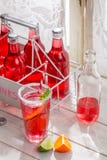 Naranjada roja sabrosa en botella con los agrios fotografía de archivo Naranjada roja sabrosa en botella con los agrios fotografía de archivo