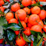 Naranjas foto de archivo Naranjas foto de archivo