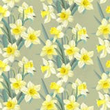 Narcisos amarillos enormes del modelo inconsútil del vintage stock de ilustración Narcisos amarillos enormes del modelo inconsútil del vintage stock de ilustración