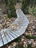 On the narrow path royalty free stock images On the narrow path royalty free stock images